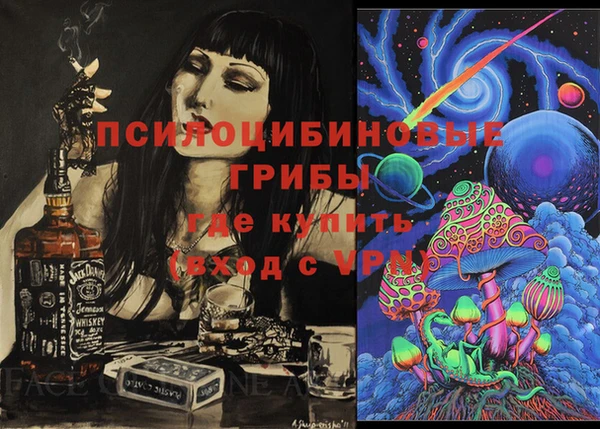 PSILOCYBIN Балахна