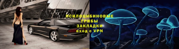 ешки Арсеньев