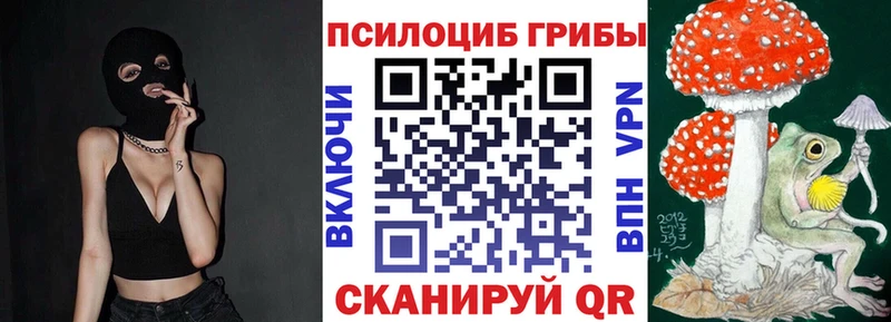 Купить  Суворов  Галлюциногенные грибы мицелий 