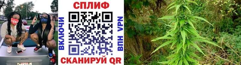 Бошки Шишки планчик  Купить закладки  Суворов 